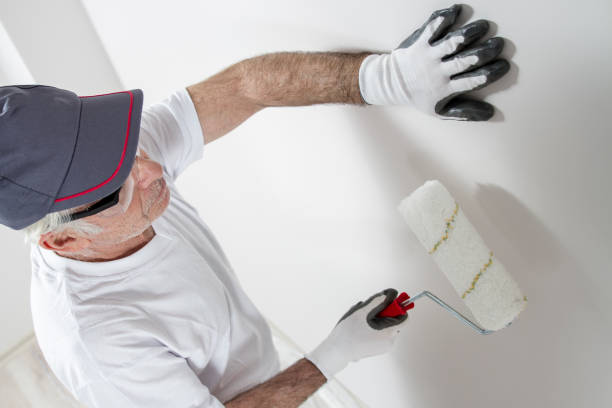 Best Wallpaper Removal and Painting  in Bloomfield, IA